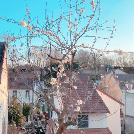 #AMAFENETRE Amandine, Conflans Sainte-Honorine, 27 mars