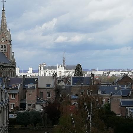 #AMAFENETRE Céline, la Cathédrale  d'Amiens, 3 avril